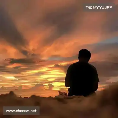 王秦准